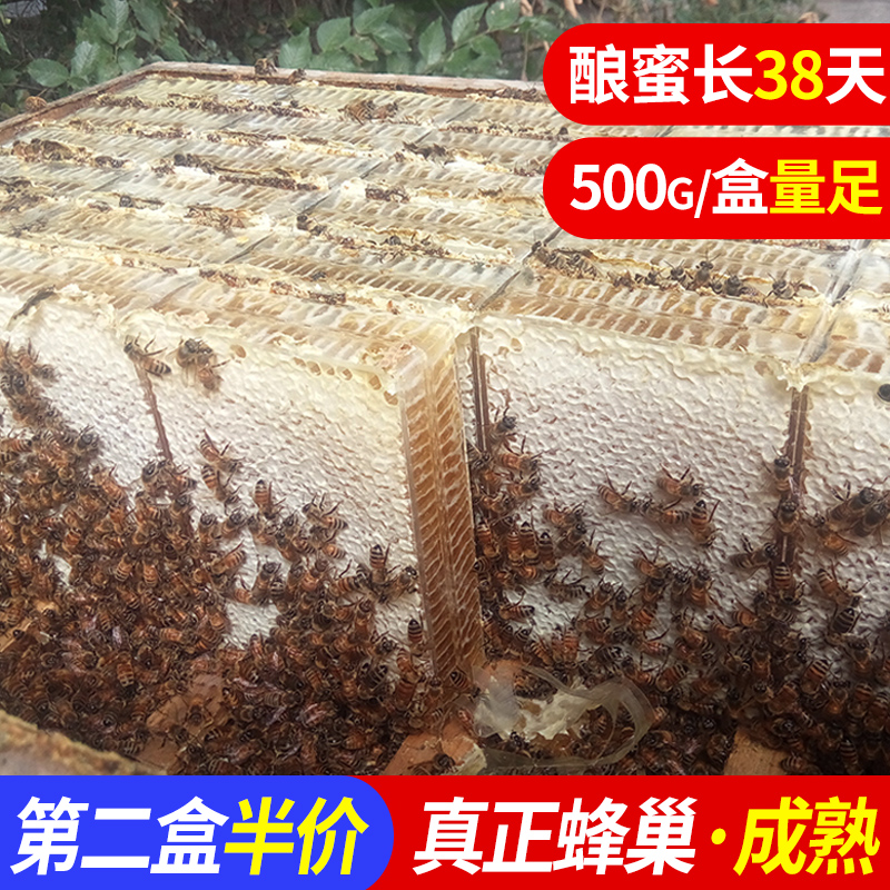 新疆蜂巢蜜草原野生百花蜜蜂窝纯正天然封盖成熟蜜嚼着吃盒装500g在类目 传统滋补营养品, 蜂蜜中 - 来自Buy2taobao.com提供专业的淘宝代购服务