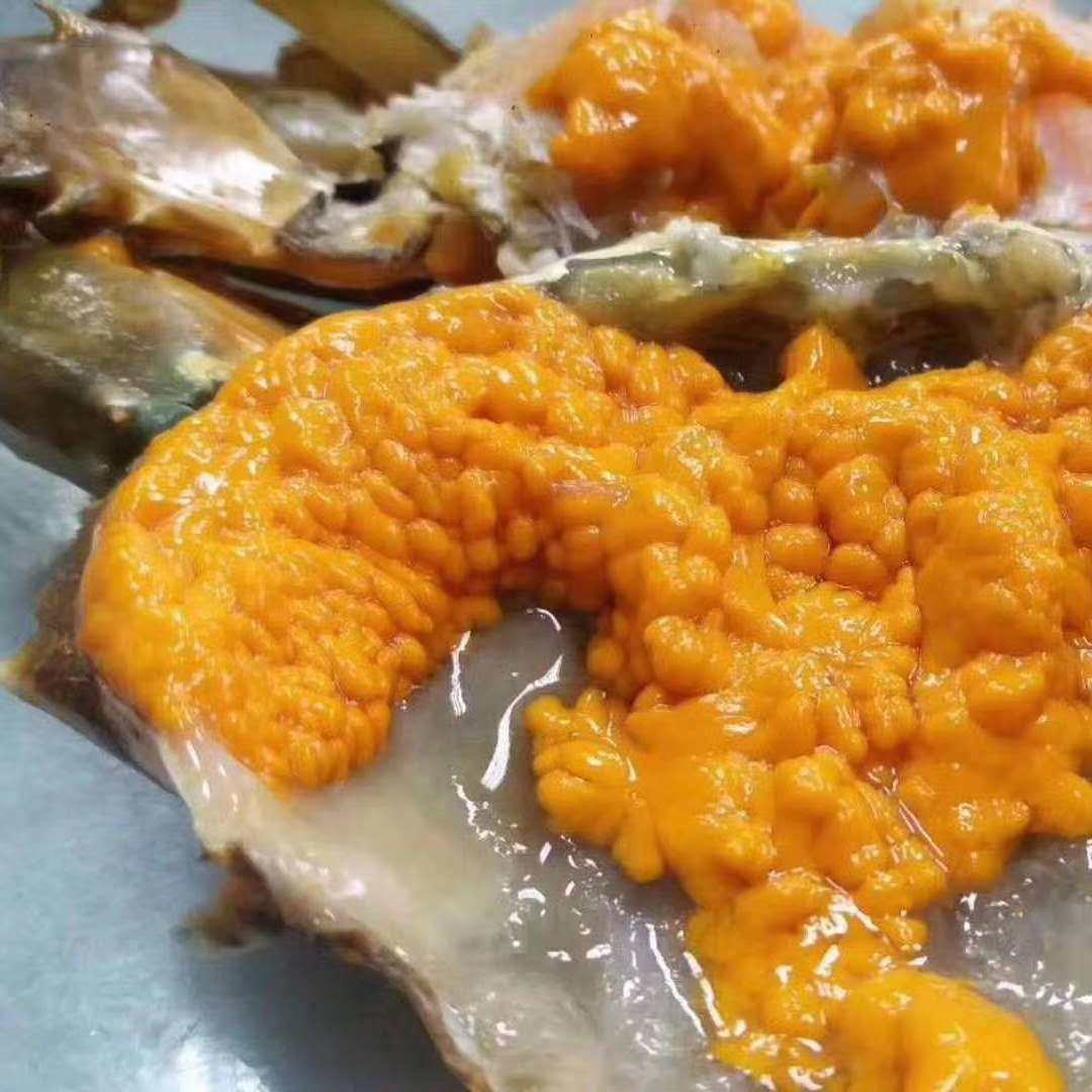 网红海鲜欧三哥全母非洲膏蟹l号香辣膏蟹1斤只熟食1只每份