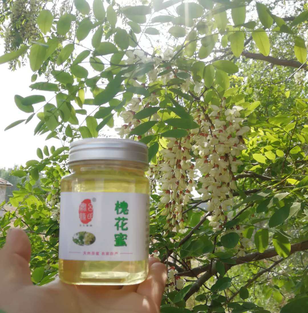 吕氏蜜缘农家自产野刺槐蜜纯蜂蜜精品槐花蜜洋槐蜜500g买三送一