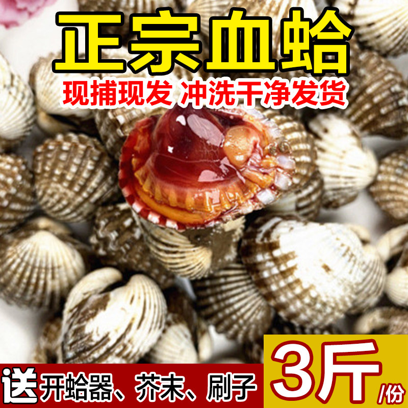 现挖现发血蛤蜊新鲜雪蛤正宗血蚶冲洗干净发货可生腌制3斤装