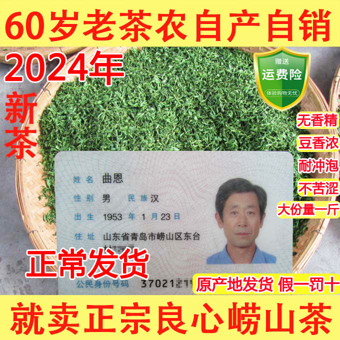 崂山绿茶2024年新茶春茶豆香浓郁