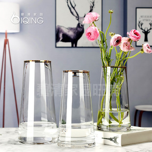 轻奢花瓶摆件客厅插花大透明玻璃家居装饰品水养北欧描金创意简约