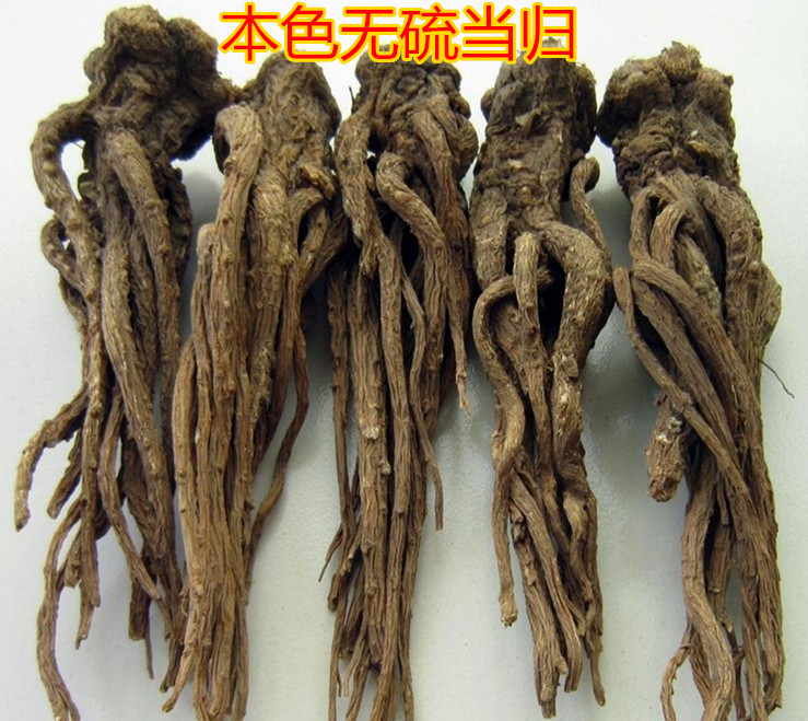 Chinese herbal medicines wild Full Angelica Whole Entire Angelica head Angelica powder 500 gramin the Traditional nourishing food , Other traditional tonic , Angelica category - from Buy2taobao.com to provide professional Taobao agent buy service