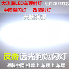 超亮汽车中网爆闪灯射灯改装日行灯一拖四远光狗开道警示灯爆闪灯