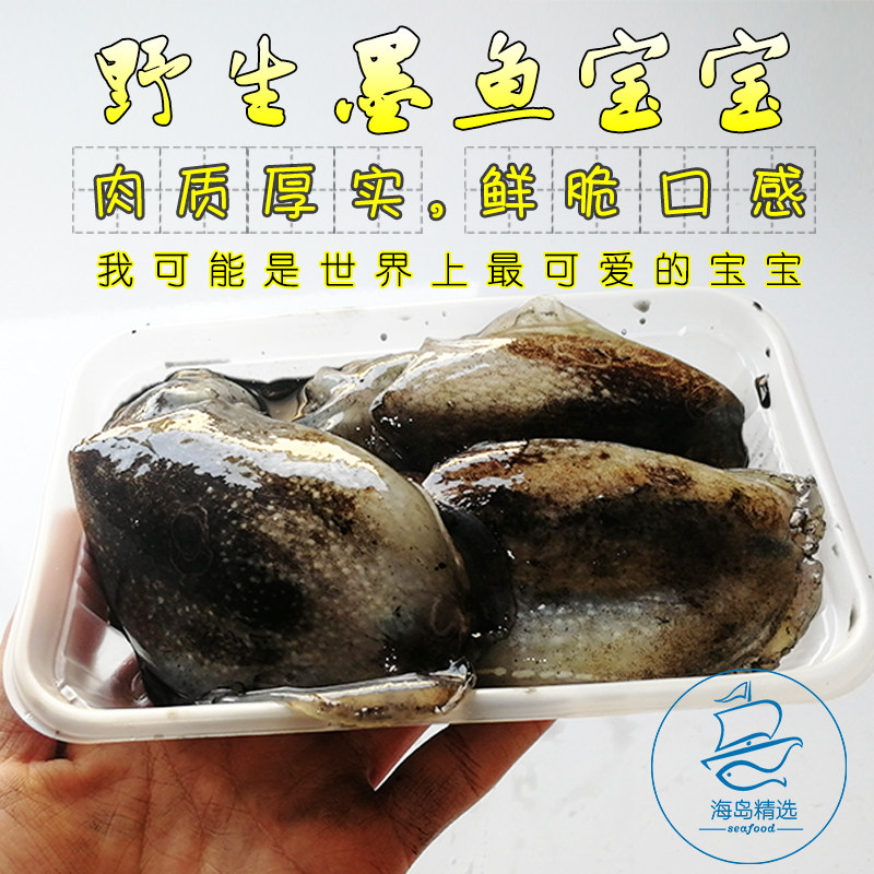 小墨鱼宝宝 野生新鲜活 乌贼目鱼墨斗鱼营养辅食东山岛海鲜海产品