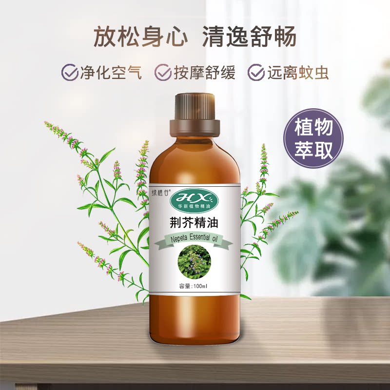 荆芥精油纯植物提取100ml单方精