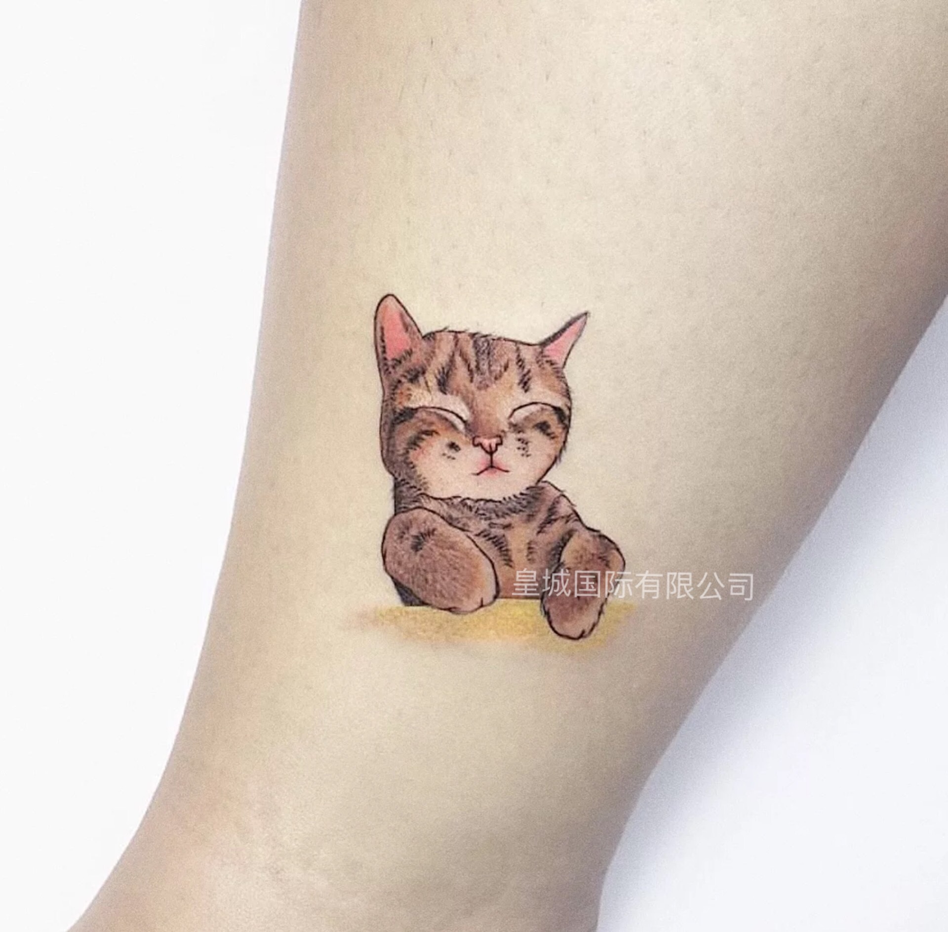 手绘卡通可爱猫咪纹身贴防水男女韩国小清新创意手臂脚踝动物刺青