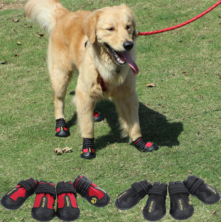 狗鞋子 大型犬 金毛大额优惠券