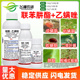 45%联肼乙螨唑 联苯肼酯草莓柑橘白红蜘蛛月季螨端泰杀虫杀螨剂