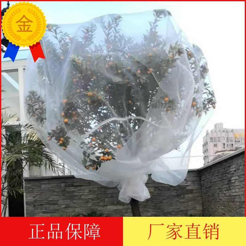 防虫网罩杨梅网罩果树樱桃防风防鸟网罩多肉莲雾桃树大棚专用罩子