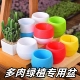 石丸彩虹塑料盆拇指花盆多肉盆栽自动储水懒人圆形生石花彩色花盆