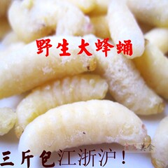 特价野生蜂蛹 新鲜蜂蛹虫 特级马蜂蛹 胡蜂 非活体 可油炸 500g