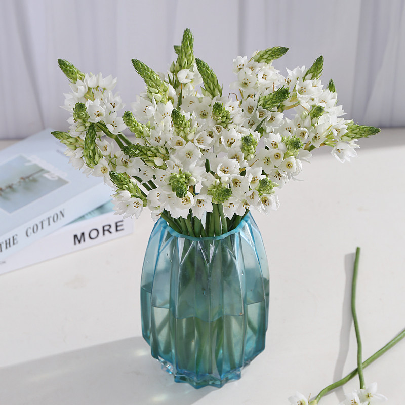 雀梅鲜花云南直发昆明基地直批花材花束家用水养鲜切花办公室插花