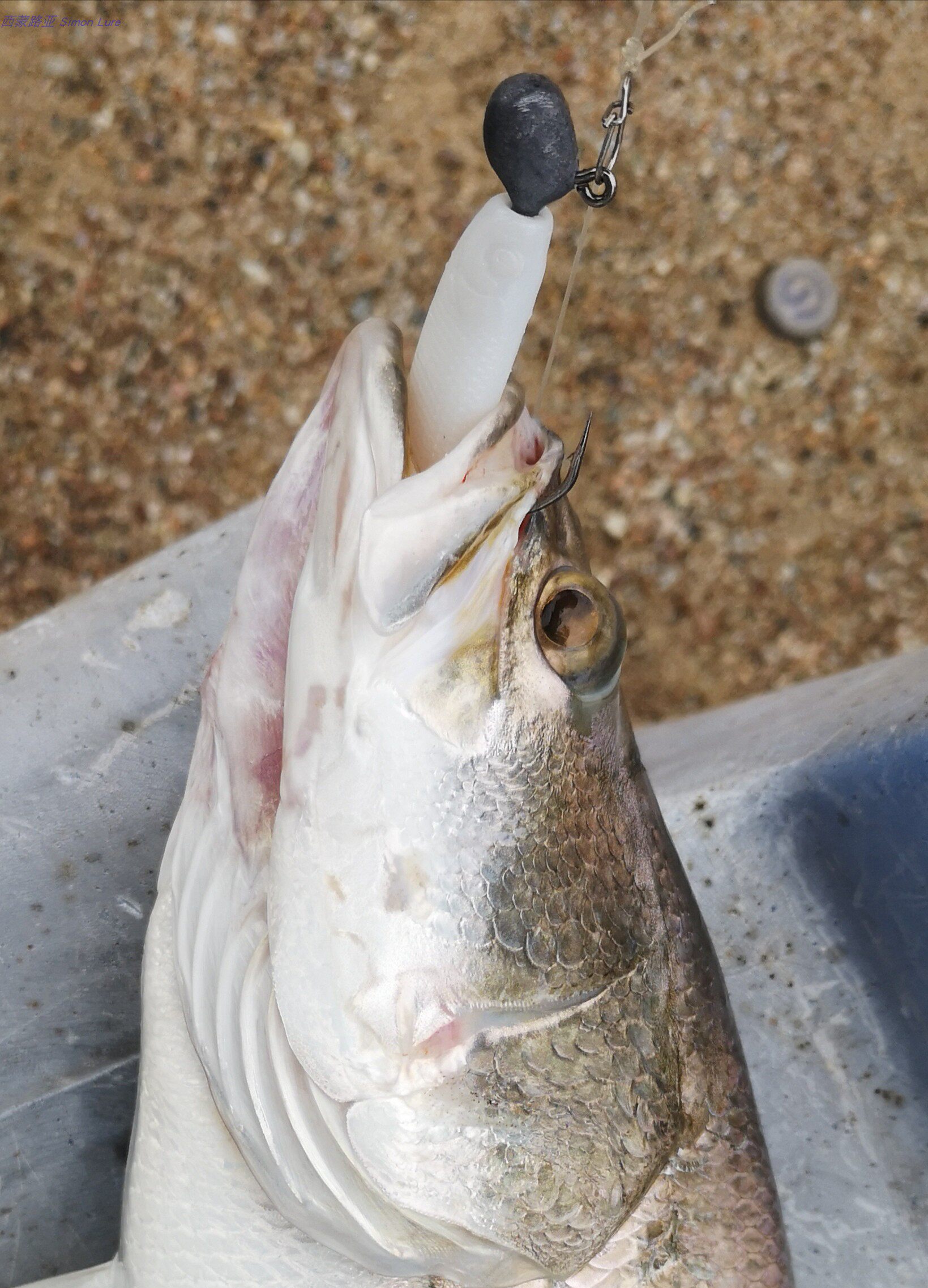 美能浪里白条鱼形t尾软饵路亚饵 金目鲈盲曹/红油/石班/翘嘴/鳜鱼