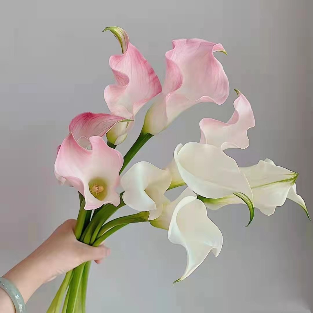 上海包邮进口马蹄莲新娘手捧鲜切花高端会所居家花艺设计水养花材