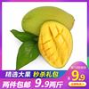【两件包邮】越南青芒2斤玉芒单果重200-400g新鲜水果芒果批包邮|ru 【两件包邮】越南青芒2斤玉芒单果重200-400g新鲜水果芒果批包邮|ru