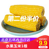 【北京当日达】水果甜玉米棒1根真空包装开袋即食水果玉米包邮|ru 【北京当日达】水果甜玉米棒1根真空包装开袋即食水果玉米包邮|ru