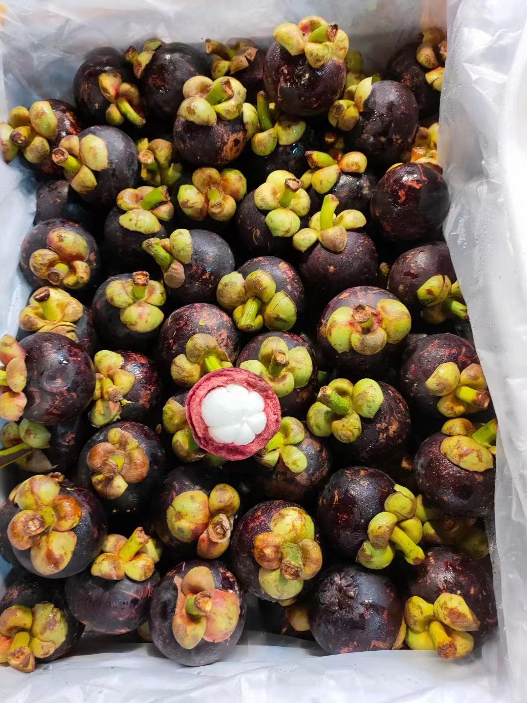 新鲜山竹500g京津冀包邮新鲜水果