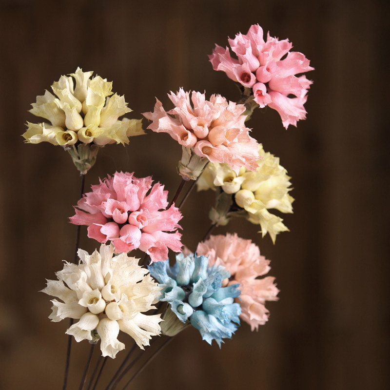 诺凡康乃馨装饰干花干花真花干花花束手工艺术干花客厅卧室