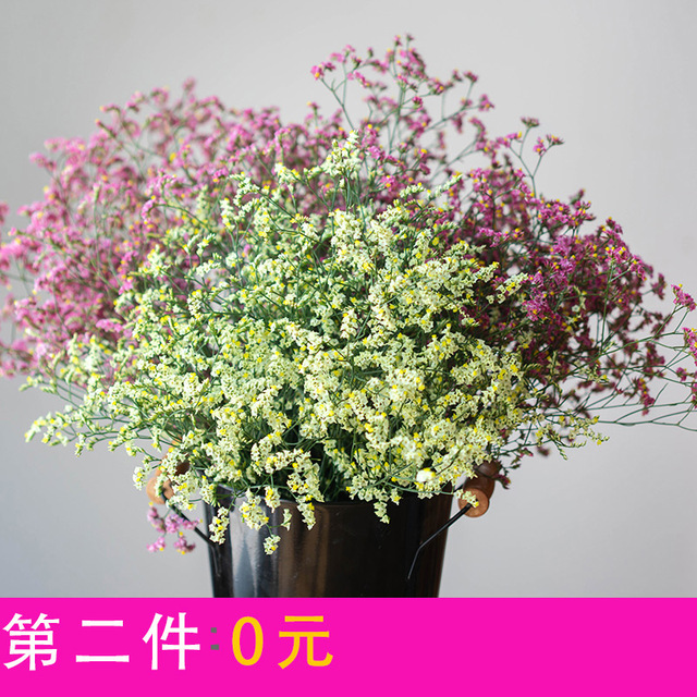 云南满天星鲜花勿忘我风干花束ins网红干花真插花水晶草装饰摆设