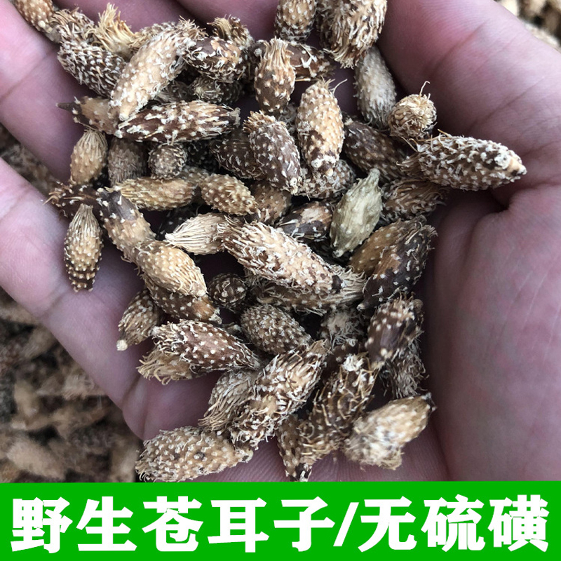 正宗野生苍耳子500g克新货老籽原色无硫磺中药材食用药用2024年