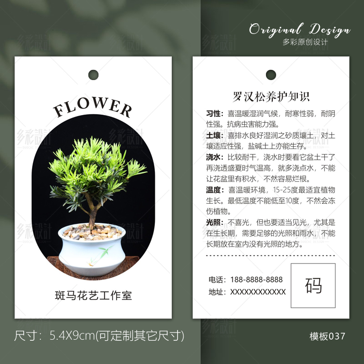 植物花店卡片绿植养护卡罗汉松保养卡吊牌墨兰南洋松盆栽维护卡片