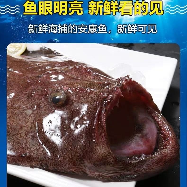 新鲜鲜活冷冻安康鱼肝鱼肚鮟鱇鱼蛤蟆鱼魔鬼鱼无小刺深海海鲜水产