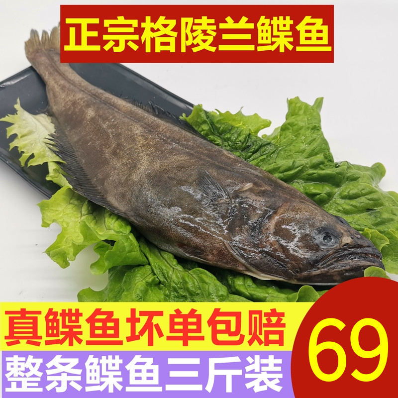 格陵兰鲽鱼新鲜冷冻整条比目鱼鸦片鱼野生海捕深蝶鱼海鲜庸鲽鱼