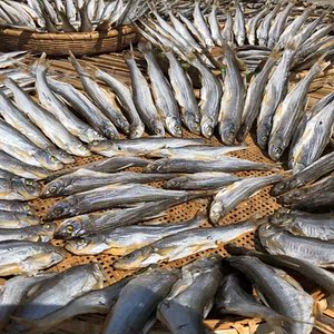 农家腌制自晒野生刁子鱼小河鱼小咸鱼干小干鱼淡水白鱼干小白条