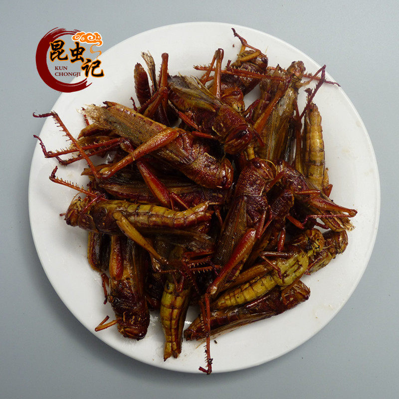 蚂蚱蹬倒山大蚂蚱蝗虫蚂蚱虫子昆虫记80g