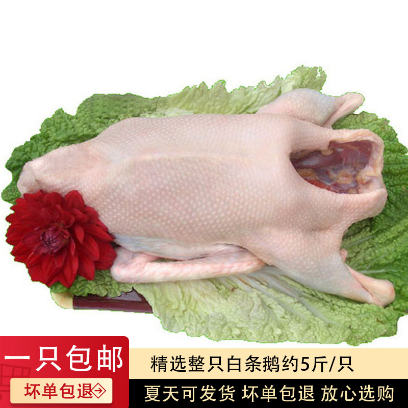 白条鹅_新鲜冷冻鹅肉冰冻白条鹅整只大鹅农家养烤鹅烧鹅原材料包邮