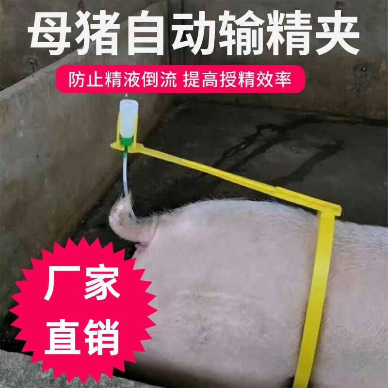 母猪配种架猪用输精工具背夹设备公猪配猪神器猪输精瓶支架输精夹