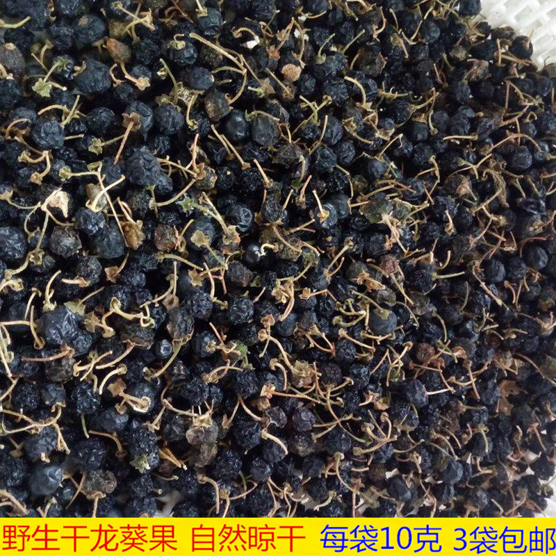 中药材正品野生龙葵子龙葵果干品10克野葡萄黒天天茄子新鲜晒干