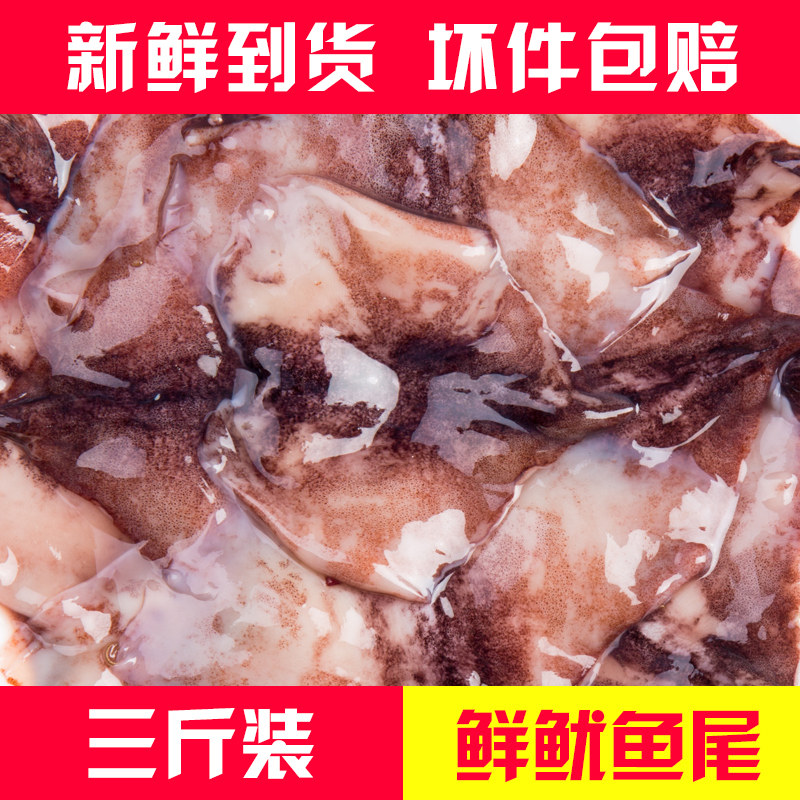 新鲜鱿鱼尾海鲜水产鲜活速冻鱿鱼新鲜冷冻尤鱼铁板烧烤火锅犹鱼