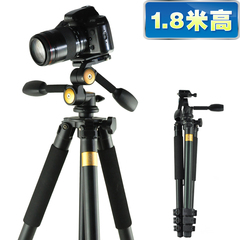 三维云台摄像机录像机DV专业三脚架 单反相机摄像三角架1.8米Q620