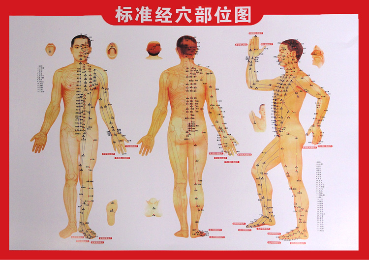 标准人体经络穴位挂图 足底脸部耳部反射区 刮痧拔罐针灸穴位图|msdalam kategori Penjagaan diri/kesihatan/peralatan urut, Semua jenis aksesori, Meridian Health Care Accessories Equipment, Aksesori Moxa - dari Buy2taobao.com untuk memberikan perkhidmatan ejen Taobao profesional membeli