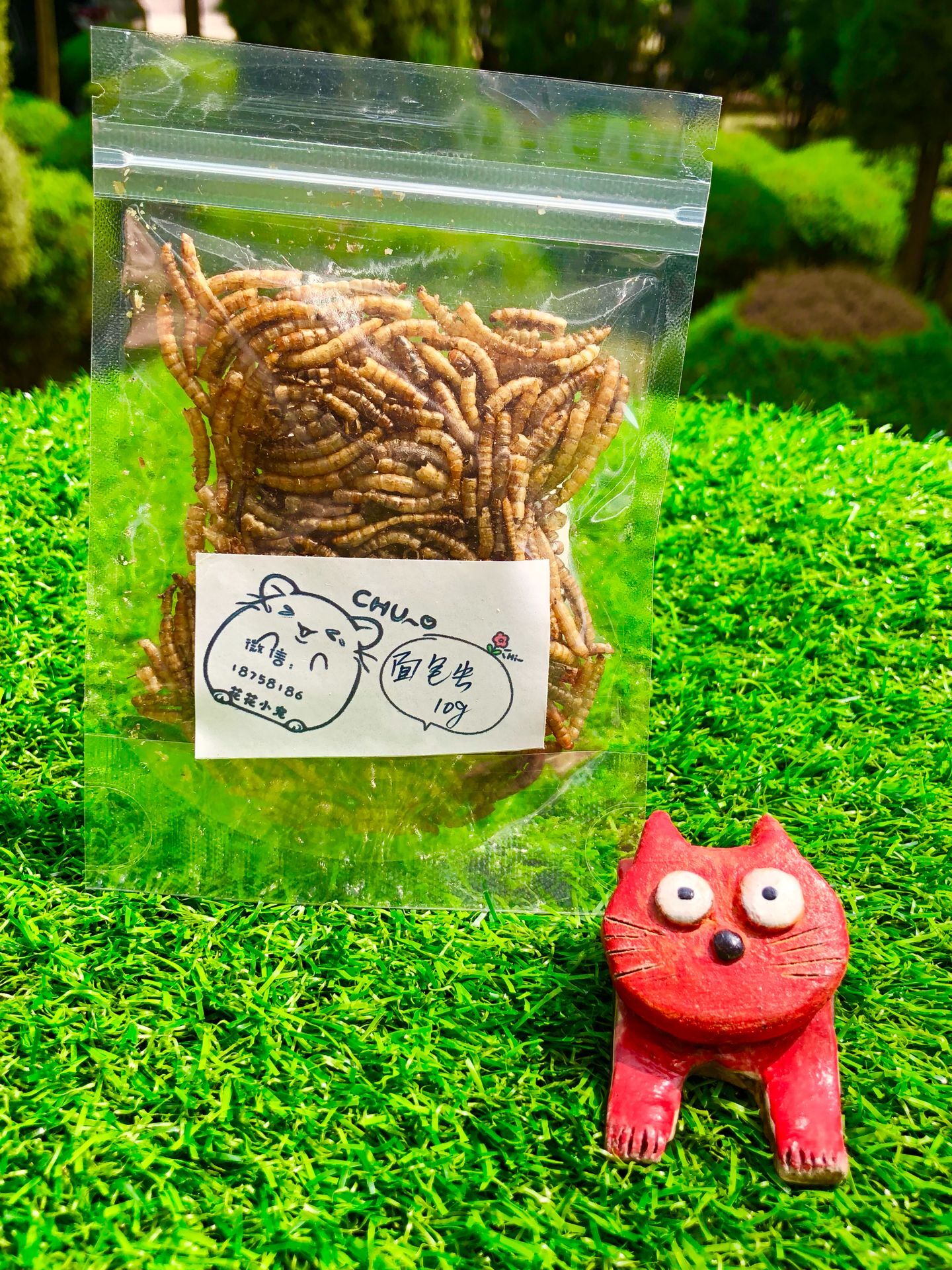 花花小宠仓鼠金丝熊通心粉零食面包虫10g仓鼠金丝熊通心粉|ruв категории животное/Животное питание и принадлежностей, хомяк класса и других малых животное, небольшой питомца принадлежностей (новая), другие - от Buy2taobao.com для оказания профессиональной услуги покупки агента Taobao