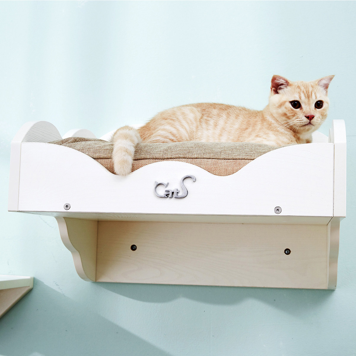 25省包邮波奇cats猫家具木制墙上猫床猫跳台猫抓板猫屋猫窝_不打折