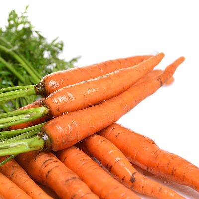 新鲜蔬菜 手指胡萝卜 迷你 小手指萝卜带叶子500g_不打折现价9.9元