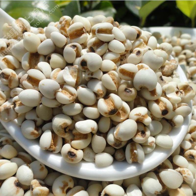 5斤包邮 优质贵州小薏米仁500克小苡仁米 薏仁米五谷杂粮