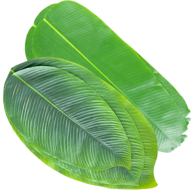 加大号无骨过胶芭蕉叶假树叶香蕉叶水果店装饰品桌面凉菜摆盘