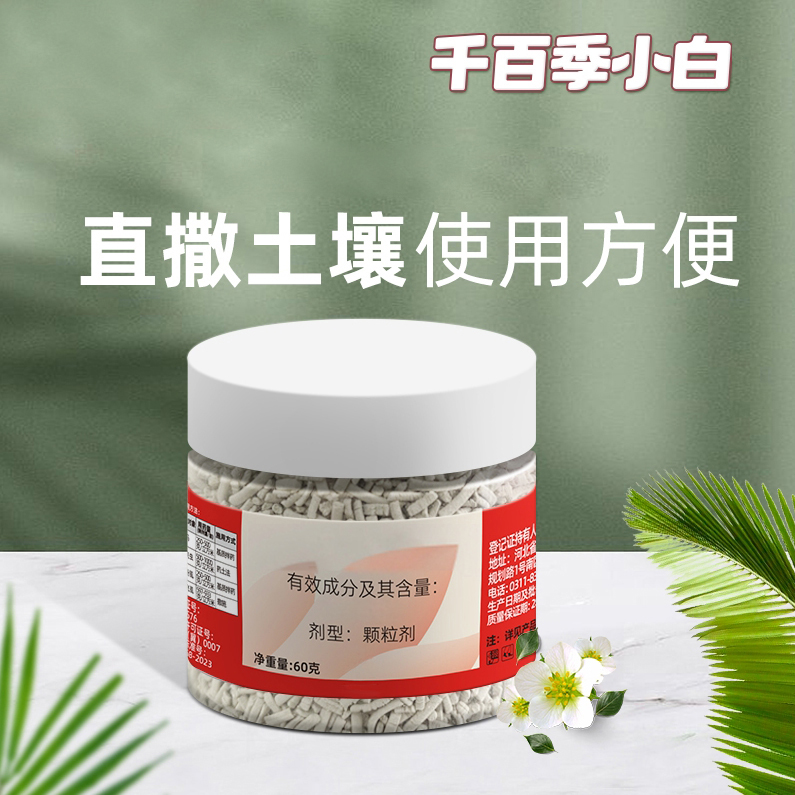 【防虫颗粒】千百季小白多肉月季兰花千百季小黑施用预防烂根