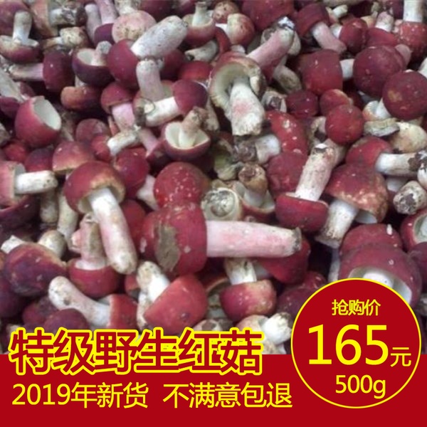new goods Orthodox school Wild red mushroom dried food Fujian Guangxi specialty Red Mushroom Moon mushroom 500g Single productin the Agri rice/Dried foods/Condiment , Dried foods/Meat Dry , Dry/Native , Agaricus blazei category - from Buy2taobao.com to provide professional Taobao agent buy service