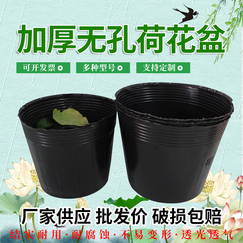 荷花盆加厚一次性黑色塑料无孔碗莲盆水生植物育苗盆睡莲盆营养钵