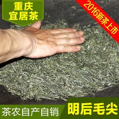 明后重庆宜居毛尖 2016年新茶特级嫩芽毛尖绿茶自产自销250g