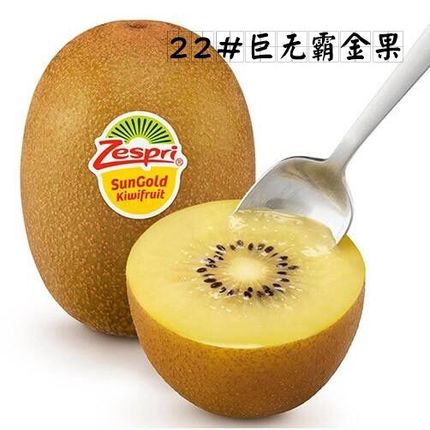New Zealand Sunlight Imported Kiwi Kiwi Big Mac Large fruit 12 A SFin the Aquatic meat/Fresh fruits and vegetables/Cooked , Fresh fruit , Kiwi/Kiwi category - from Buy2taobao.com to provide professional Taobao agent buy service