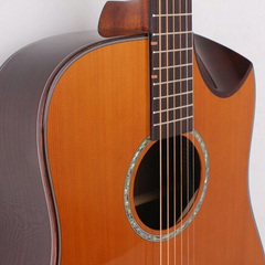 Alston奥斯顿D-160HC红松面单板吉他41半缺角亮光可装电箱原木色