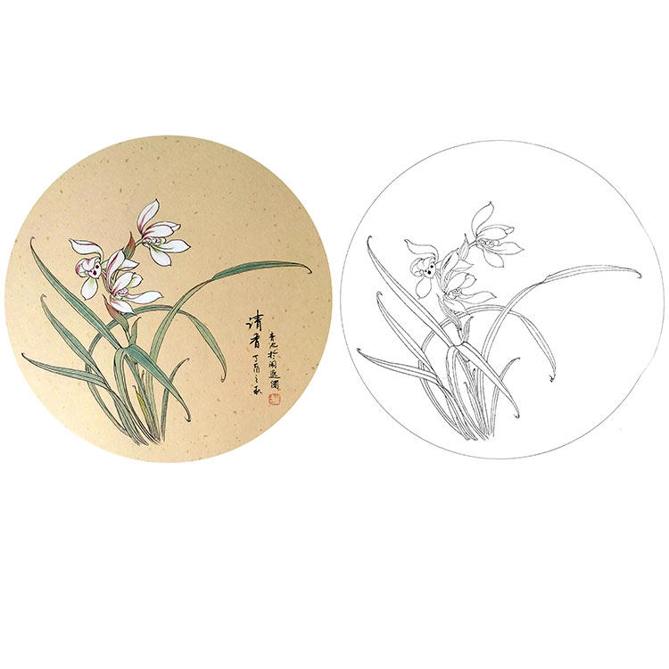 工笔画白描底稿实物打印稿戴青池花鸟小品勾线练习国画