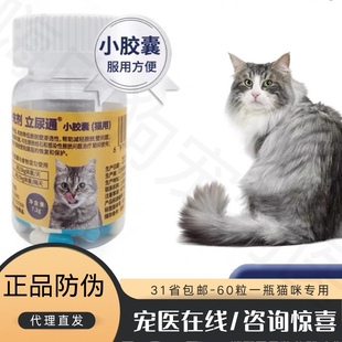 维他宝立尿通猫咪泌尿道结石营养膀胱黏膜猫用利尿通猫咪尿血尿频