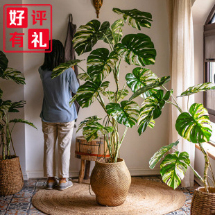 花叶龟背竹假树白锦仿真植物盆栽大型仿生绿植客厅摆件轻奢风造景